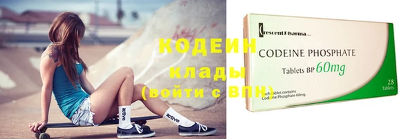бошки Осинники