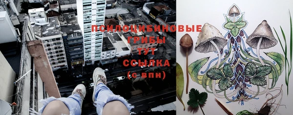 молекула духа Няндома