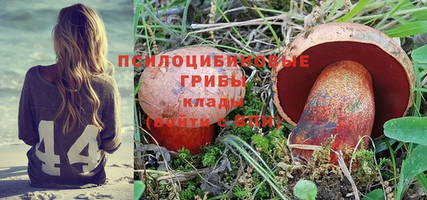 бошки Осинники