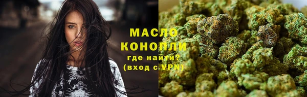 молекула духа Няндома