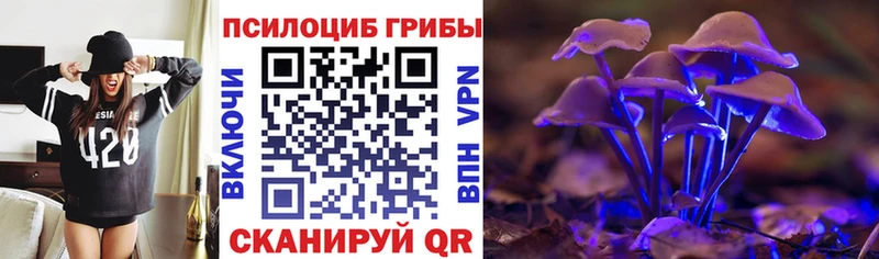блэк спрут ссылка  Козловка  Галлюциногенные грибы мухоморы 